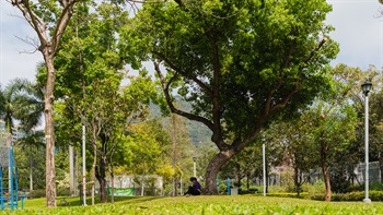 Visitor relaxed on an expanse of grass shaded by groves of trees in the raised lawn.